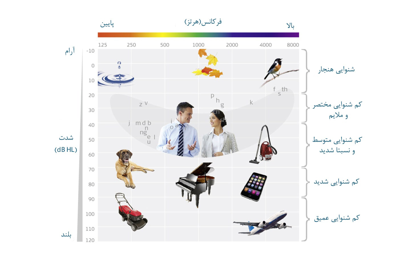 میزان کم شنوایی